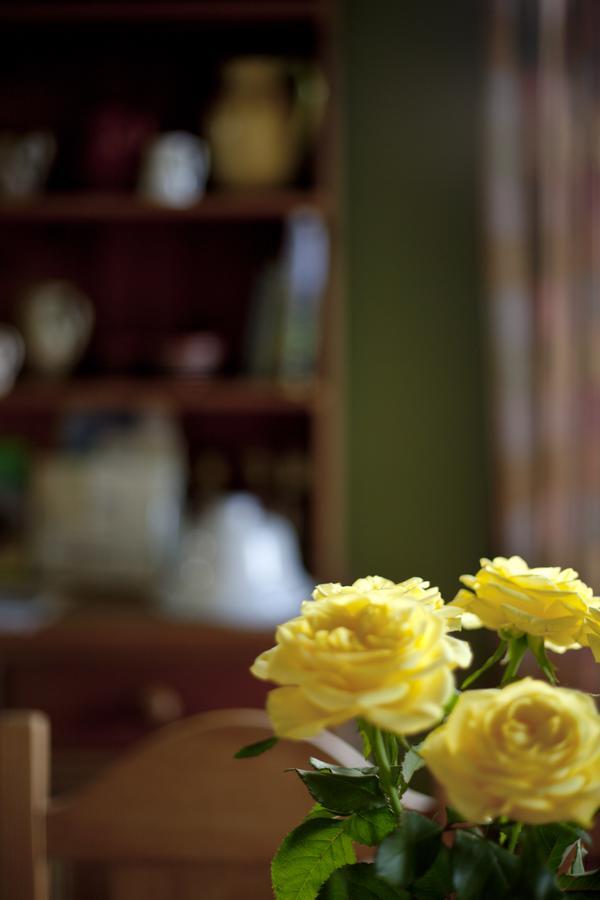 North Walk House Bed and Breakfast Lynton Esterno foto